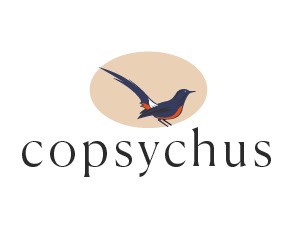 Copsychus